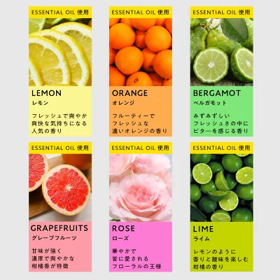 アンドエスエイチアロママスクスプレー100ml